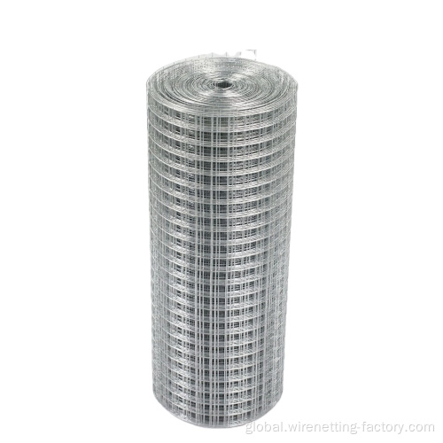 Galvanized Welded Wire Mesh Galvanized welded wire mesh roll with cheap price Factory